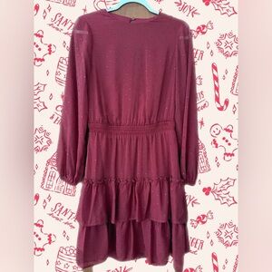 Express Burgundy Mini Dress